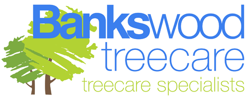 bankswood treecare logo