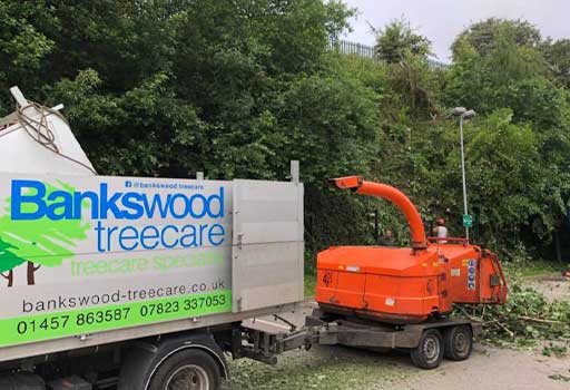 Bankswood Treecare