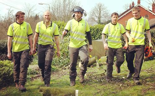 team_1 Bankswood Treecare Team